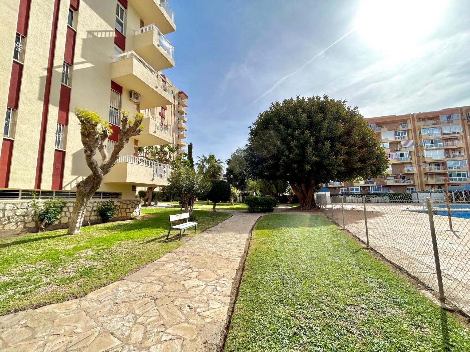 Hoja De Palma * Benalmádena